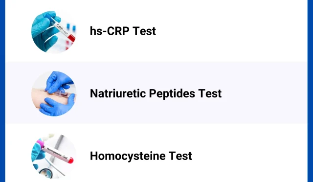 image4I7QQO1JHOwebp  Wealth Health  Tech  Your Guide to Success image_4I7QQO1JHOwebp