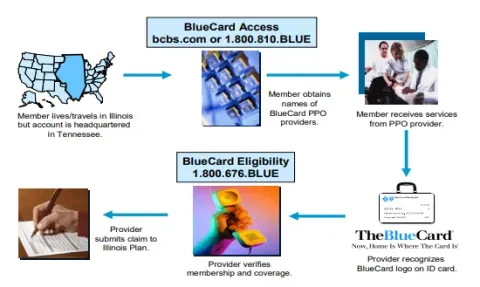 BlueCard Underpayments: Uncovering a Healthcare Loophole