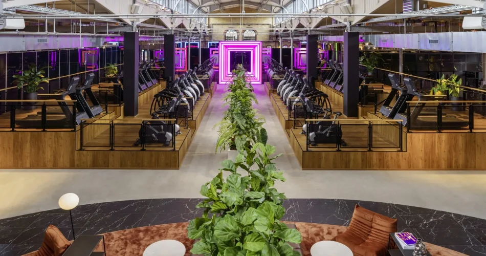 image_D3W06987ECwebp