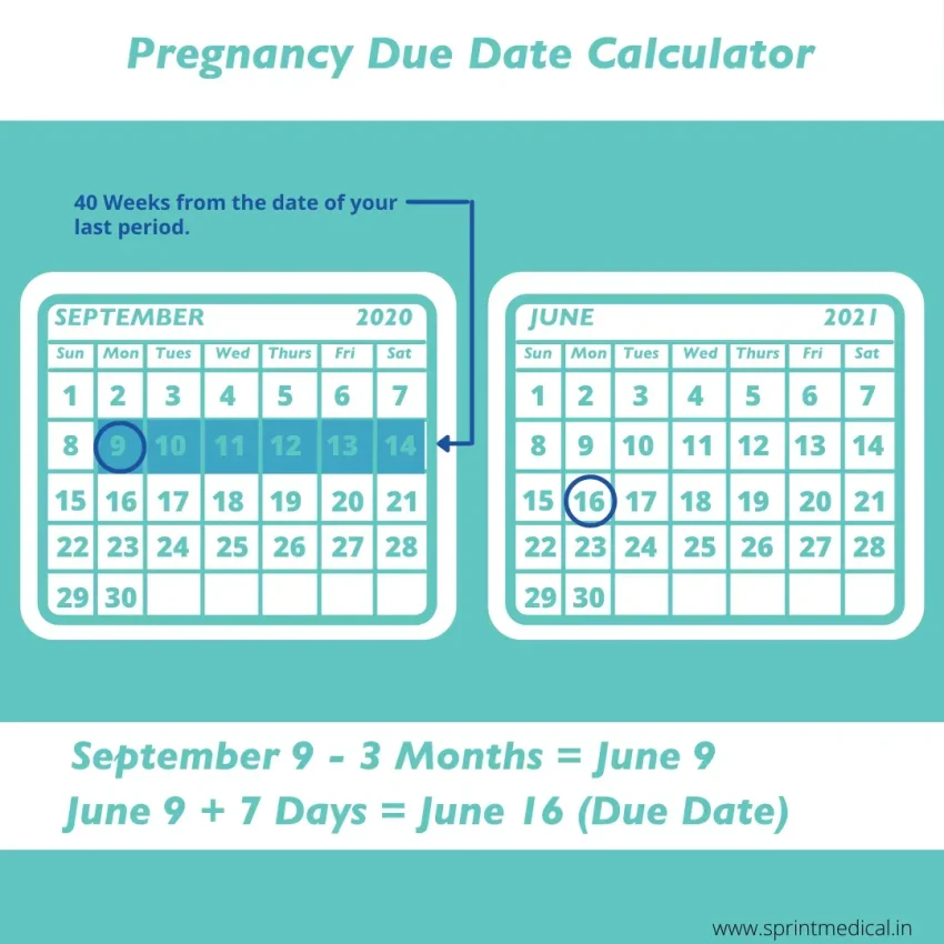 Due Date Calculator: How to Determine Your Baby’s Arrival