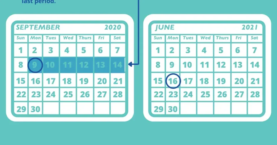 image_DQP9OKV8UCwebp