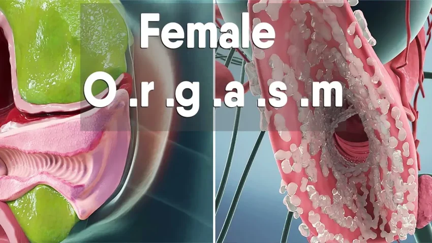 Vaginal Orgasm: 8 Tips to Elevate Your Experience