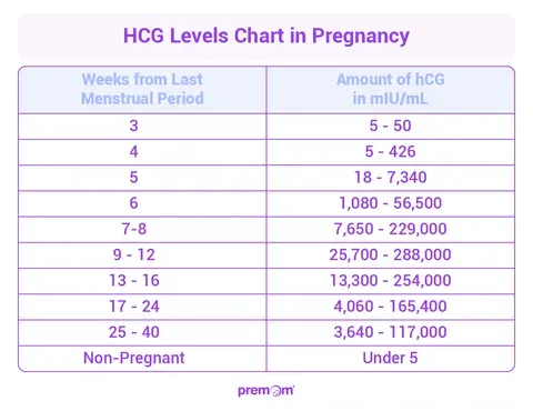 hCG Levels During Early Pregnancy: Your Ultimate Guide