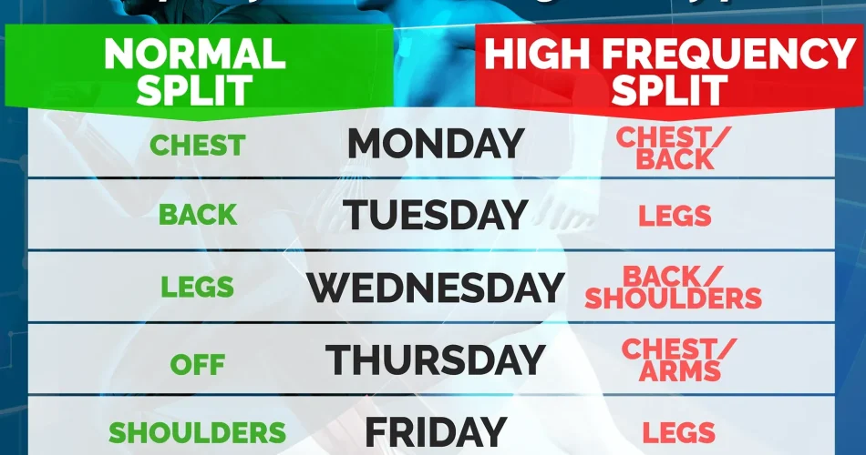 image_K1YV5OYECCwebp