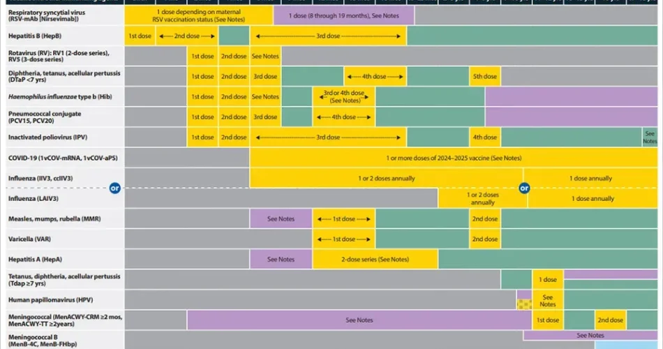 image_K68GQLCHS6webp