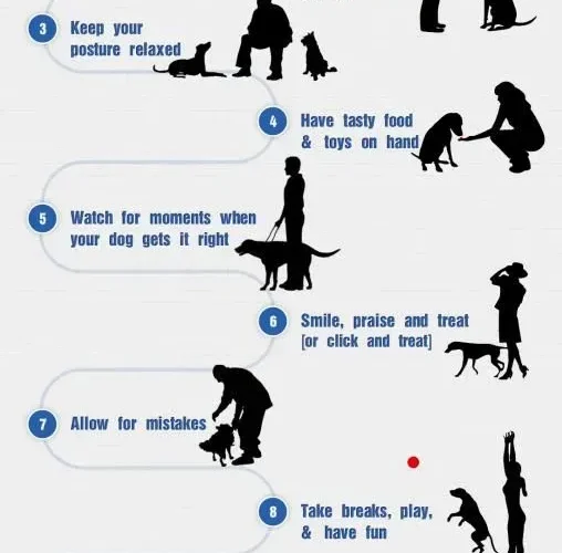 image_NP54WYI9LRwebp