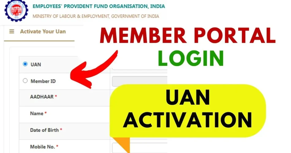 image_NXI8B65D1Dwebp