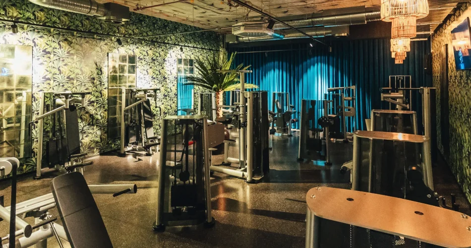 image_P0VKGM360Nwebp