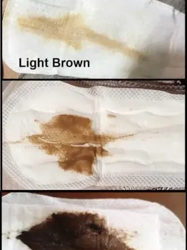 image_Q2VL56SEQRwebp
