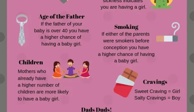 imageVSMFLL9PNQwebp  Wealth Health  Tech  Your Guide to Success image_VSMFLL9PNQwebp