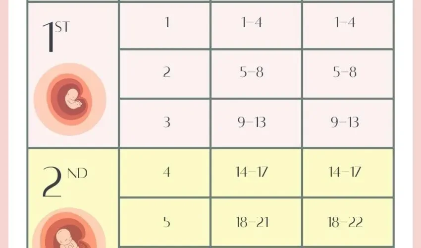 image_W0HKONN3U7webp