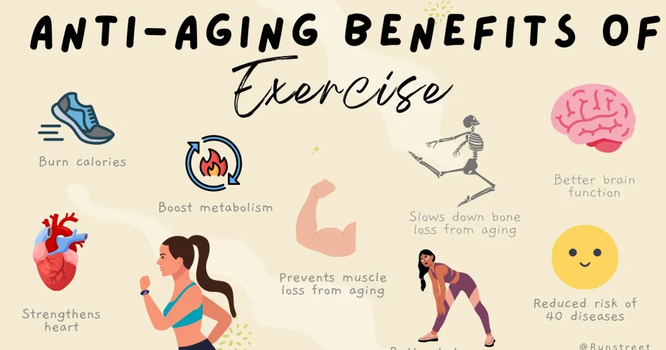 image_XNDYBOL5RSwebp