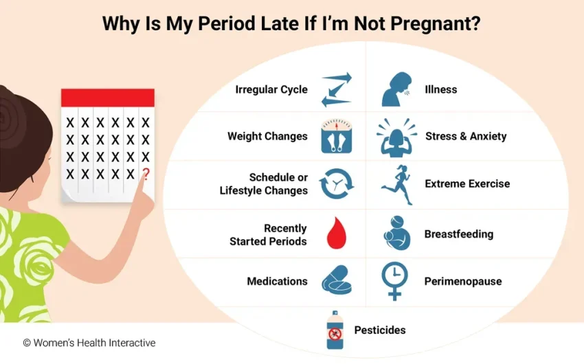 Late Period and Pregnancy: When to Take a Test