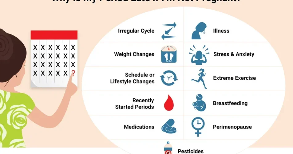 image_XZQU76WX2Cwebp