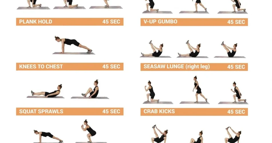 image_ZXIZ7UUXOMwebp