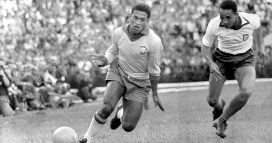 image_5LC6G2T5G4webp