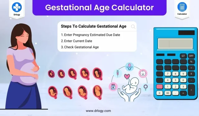 image9B1V1XAIPSwebp  Wealth Health  Tech  Your Guide to Success image_9B1V1XAIPSwebp