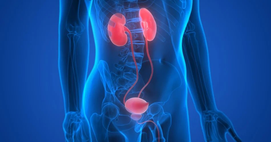 image_C35UI5FXKRwebp