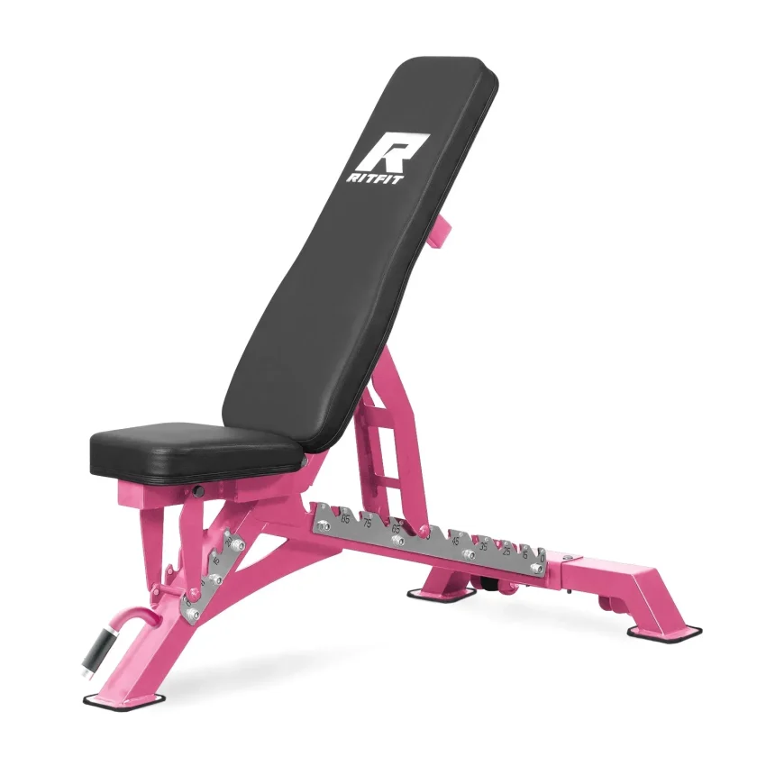 Specialty Weight Benches for Targeted Home Gym Training