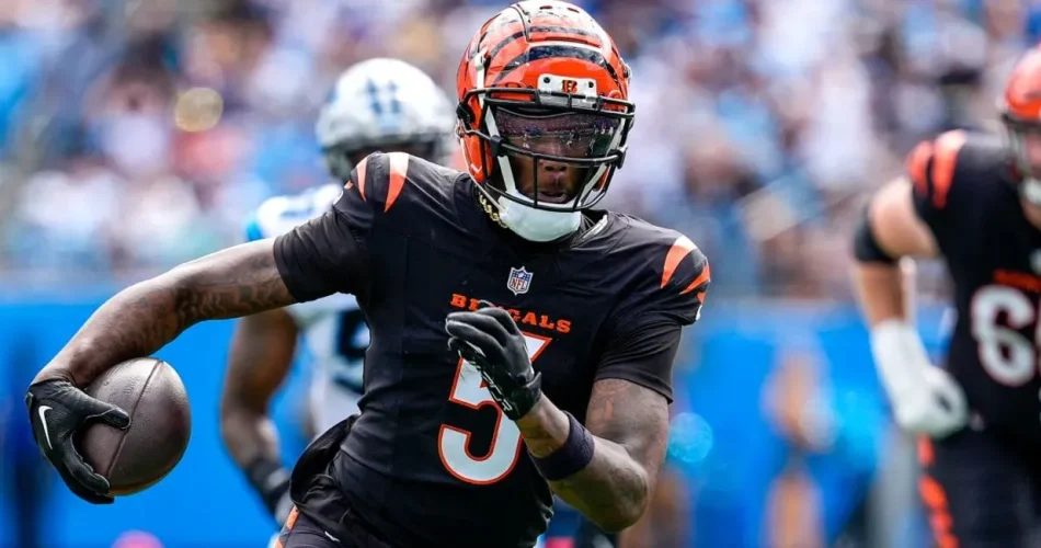 image_FKPRJ5A0VYwebp