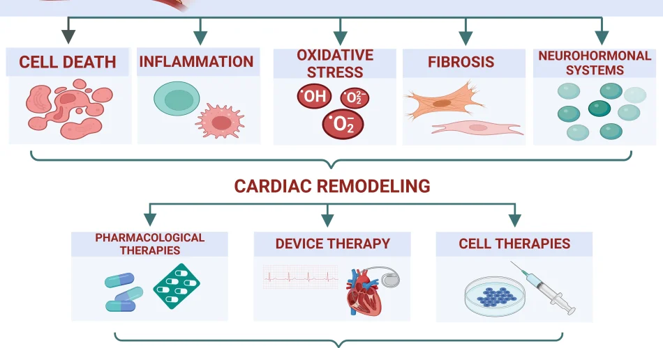 image_IAWKNUISKXwebp