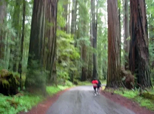 imageS42K0Z3IR7webp  Wealth Health  Tech  Your Guide to Success image_S42K0Z3IR7webp