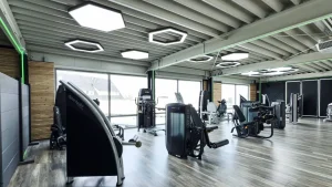 image_YV6X58FETKwebp