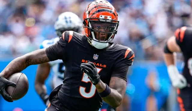 image_2X251WHX4Owebp