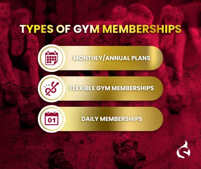 Gym Membership Flexibility: Experience Total Freedom
