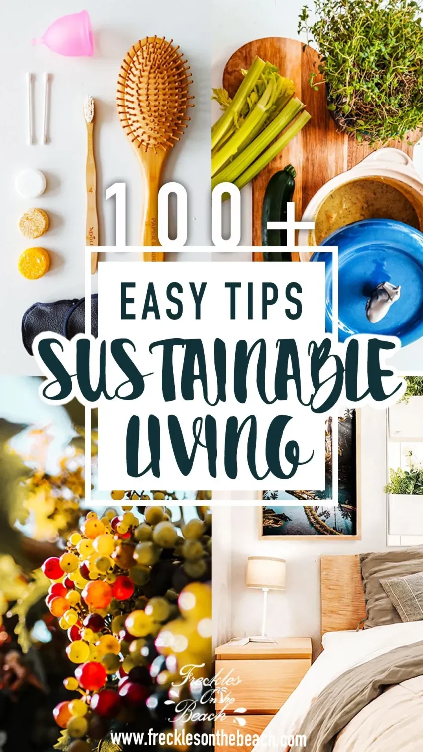 Sustainable Living Tips: Easy Steps for a Greener Life