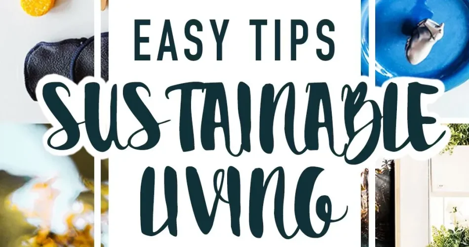 image_C1LWNFU51Nwebp