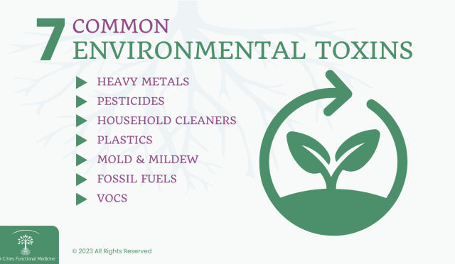 image_17fb2d14-f4d5-4956-b0f0-7f98e3135fabwebp