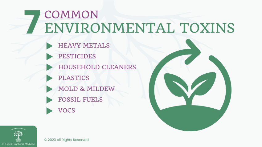 Environmental Toxins: Secure Your Health Today