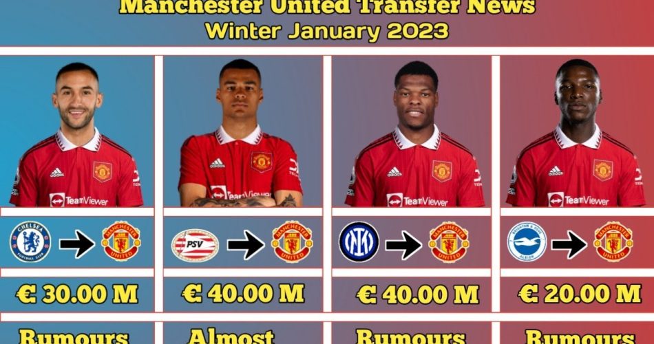 image_633f0f40-c30a-4038-b185-c3a0daccb1c9webp