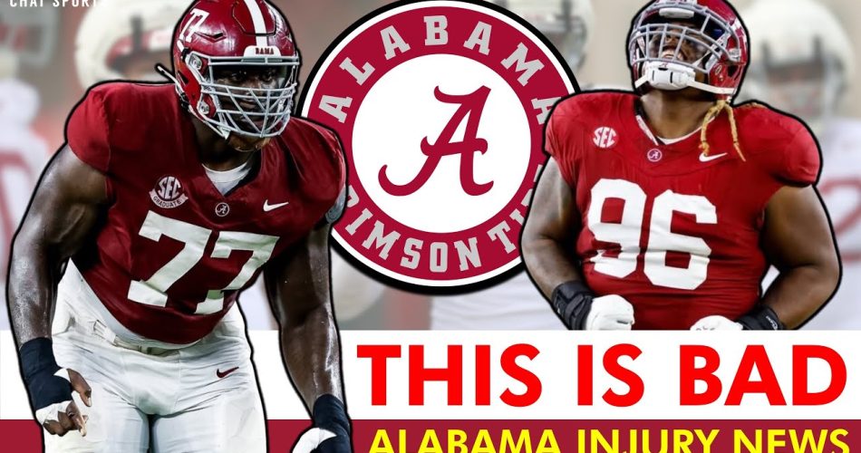 image_cdb2cd01-bd60-4455-8ae9-b205c58e6e60webp