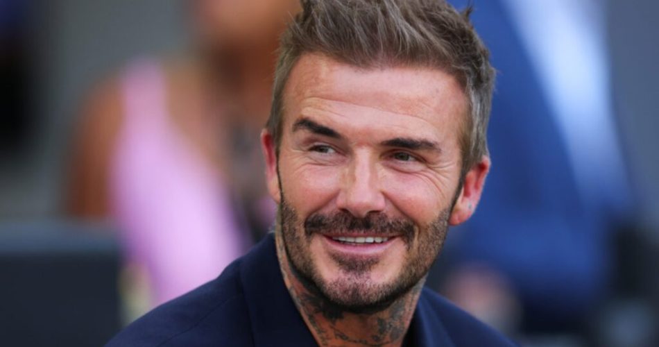 image_d76c6946-660b-4992-bacd-2a99c59db1ebwebp